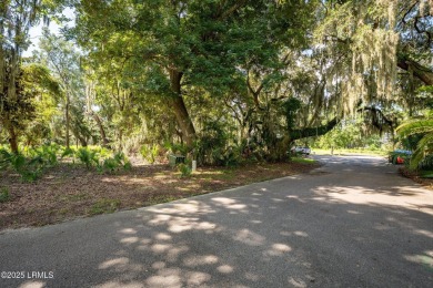Bring your dream home to life on this 0.31-acre marsh front on The Sanctuary Golf Club At Cat Island in South Carolina - for sale on GolfHomes.com, golf home, golf lot