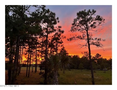You do not want to miss this exceptional home in the premier on Compass Pointe Golf Course in North Carolina - for sale on GolfHomes.com, golf home, golf lot
