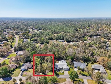 This 100x120 wooded lot in the desirable Sugarmill Woods on Sugarmill Woods Golf and Country Club in Florida - for sale on GolfHomes.com, golf home, golf lot