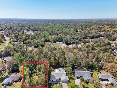 This 100x120 wooded lot in the desirable Sugarmill Woods on Sugarmill Woods Golf and Country Club in Florida - for sale on GolfHomes.com, golf home, golf lot