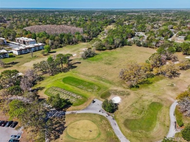 This 100x120 wooded lot in the desirable Sugarmill Woods on Sugarmill Woods Golf and Country Club in Florida - for sale on GolfHomes.com, golf home, golf lot