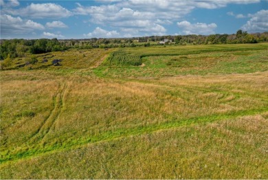 AMAZING DEVELOPMENT OPPORTUNITY ON PUBLIC GOLF COURSE! For those on Tanners Brook Golf Club in Minnesota - for sale on GolfHomes.com, golf home, golf lot