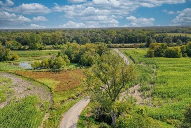 AMAZING DEVELOPMENT OPPORTUNITY ON PUBLIC GOLF COURSE! For those on Tanners Brook Golf Club in Minnesota - for sale on GolfHomes.com, golf home, golf lot