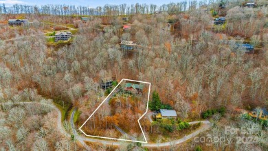 Patiently waiting for a Wolf Laurel Resort home with amazing on Wolf Laurel Country Club in North Carolina - for sale on GolfHomes.com, golf home, golf lot