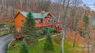 Patiently waiting for a Wolf Laurel Resort home with amazing on Wolf Laurel Country Club in North Carolina - for sale on GolfHomes.com, golf home, golf lot