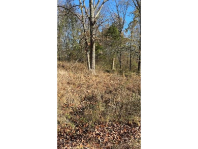 This prime, blank canvas lot offers a fantastic opportunity to on Bella Vista Country Club - Highlands in Arkansas - for sale on GolfHomes.com, golf home, golf lot