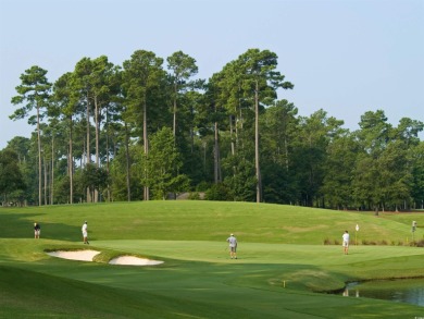 Start living your BEACH LIFE today!  Great location in Baytree on Eagle Nest Golf Club in South Carolina - for sale on GolfHomes.com, golf home, golf lot