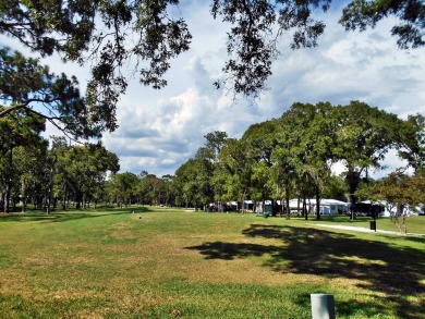 Rolling Greens Village is a friendly resort-style 55+ community on Rolling Greens Executive Golf Community in Florida - for sale on GolfHomes.com, golf home, golf lot