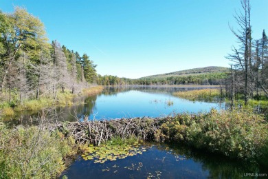 With over 900' of water frontage, on 2 bodies of water, totaling on Keweenaw Mountain Lodge in Michigan - for sale on GolfHomes.com, golf home, golf lot