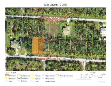** PRIME OPPORTUNITY - 2 SIDE-BY-SIDE LOTS in PUNTA GORDA, FL! on Seminole Lakes Country Club in Florida - for sale on GolfHomes.com, golf home, golf lot