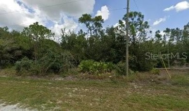 ** PRIME OPPORTUNITY - 2 SIDE-BY-SIDE LOTS in PUNTA GORDA, FL! on Seminole Lakes Country Club in Florida - for sale on GolfHomes.com, golf home, golf lot