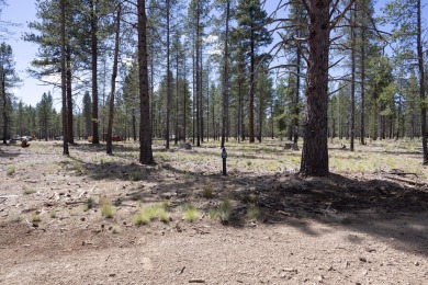 Special incentive: Developer paid HOA dues until 2027!. This on Sunriver Caldera Springs Golf Course in Oregon - for sale on GolfHomes.com, golf home, golf lot