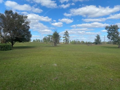 Blackshear Hills is a neighborhood next to Lake Blackshear on Ironwood Golf Club in Georgia - for sale on GolfHomes.com, golf home, golf lot