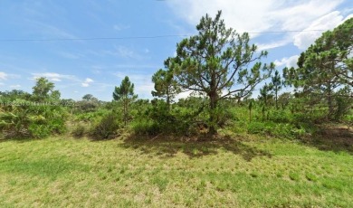 Great Opportunity to Build your dream home! No HOA's, NO CDD's on Sabal Trace Golf and Country Club in Florida - for sale on GolfHomes.com, golf home, golf lot
