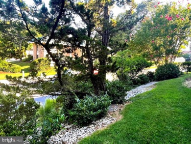 Welcome to 3660  Gleneagles Drive #71-1B. This 1,200 SF unit on Leisure World Golf Club in Maryland - for sale on GolfHomes.com, golf home, golf lot