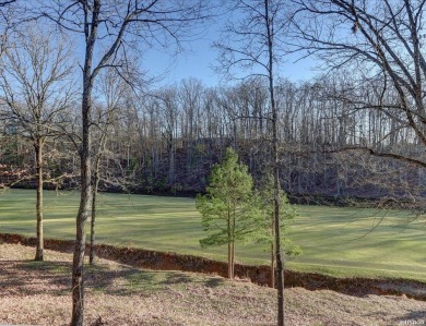 The owner has clearly taken great pride in maintaining this on Diamondhead Golf and Country Club in Arkansas - for sale on GolfHomes.com, golf home, golf lot