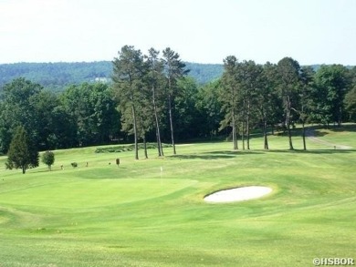 The owner has clearly taken great pride in maintaining this on Diamondhead Golf and Country Club in Arkansas - for sale on GolfHomes.com, golf home, golf lot