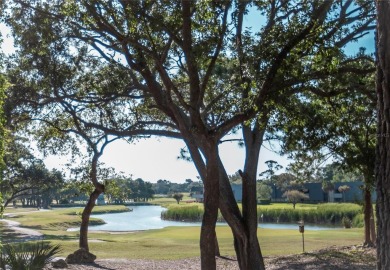 REDUCED!!!PRICED TO SELL AT APPRAISED VALUE! BRAND NEW HVAC on Innisbrook Resort and Golf Club in Florida - for sale on GolfHomes.com, golf home, golf lot