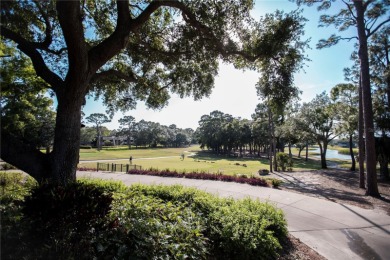 REDUCED!!!PRICED TO SELL AT APPRAISED VALUE! BRAND NEW HVAC on Innisbrook Resort and Golf Club in Florida - for sale on GolfHomes.com, golf home, golf lot