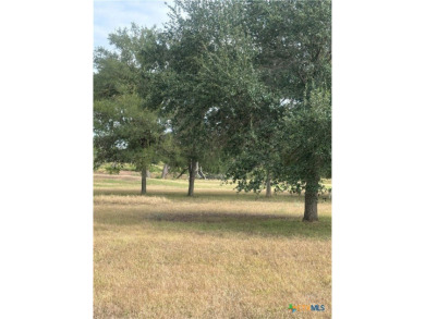 Your blank canvas awaits! Discover the perfect opportunity to on Golf Club of Seguin in Texas - for sale on GolfHomes.com, golf home, golf lot
