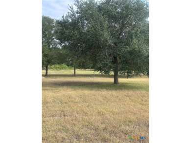Your blank canvas awaits! Discover the perfect opportunity to on Golf Club of Seguin in Texas - for sale on GolfHomes.com, golf home, golf lot