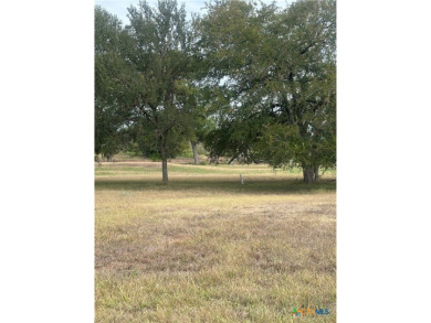 Your blank canvas awaits! Discover the perfect opportunity to on Golf Club of Seguin in Texas - for sale on GolfHomes.com, golf home, golf lot