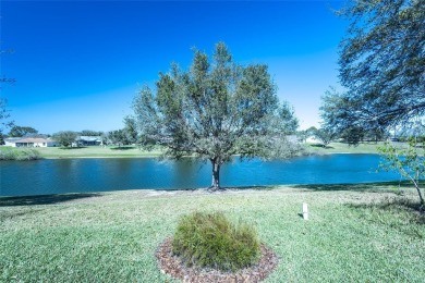 Welcome home  to this exquisite Stetson model home in The on The Links of Spruce Creek in Florida - for sale on GolfHomes.com, golf home, golf lot