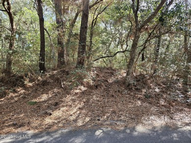 Beautiful golf course homesite with views of the lagoon and on Bald Head Island Golf Club in North Carolina - for sale on GolfHomes.com, golf home, golf lot