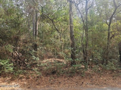 Looking for your best Golf Course homesite to build your dream on Bald Head Island Golf Club in North Carolina - for sale on GolfHomes.com, golf home, golf lot