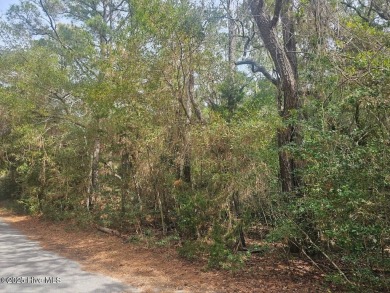 Looking for your best Golf Course homesite to build your dream on Bald Head Island Golf Club in North Carolina - for sale on GolfHomes.com, golf home, golf lot