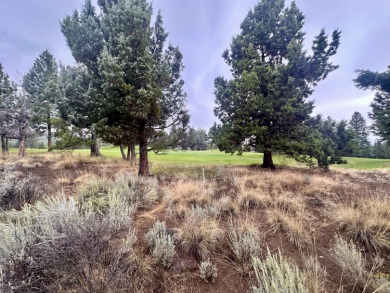 Stunning views and just steps from the golf course, this on  in Oregon - for sale on GolfHomes.com, golf home, golf lot