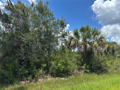 Discover an outstanding opportunity to own a vacant lot in the on Sabal Trace Golf and Country Club in Florida - for sale on GolfHomes.com, golf home, golf lot