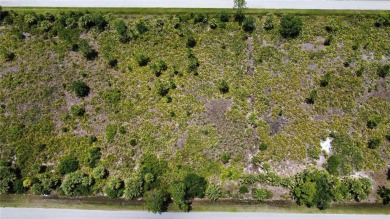 Discover an outstanding opportunity to own a vacant lot in the on Sabal Trace Golf and Country Club in Florida - for sale on GolfHomes.com, golf home, golf lot