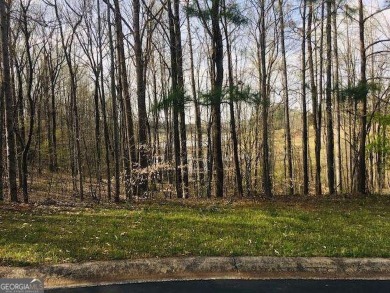 BEAUTIFUL LAKE AND GOLF COURSE HOMESITE WITH VIEW OF THE on Hawks Ridge Golf Club in Georgia - for sale on GolfHomes.com, golf home, golf lot