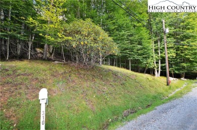 Rare opportunity to purchase 3/4 of an acre with these two on Beech Mountain Club in North Carolina - for sale on GolfHomes.com, golf home, golf lot
