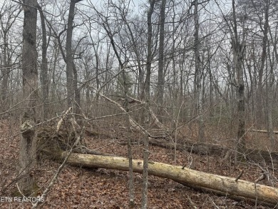 LOT WAS PERK TESTED AND CAME BACK FOR A ONE BEDROM, ADVISE TO on Lake Tansi Village Country Club in Tennessee - for sale on GolfHomes.com, golf home, golf lot