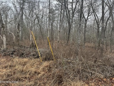 LOT WAS PERK TESTED AND CAME BACK FOR A ONE BEDROM, ADVISE TO on Lake Tansi Village Country Club in Tennessee - for sale on GolfHomes.com, golf home, golf lot