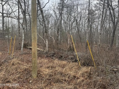 LOT WAS PERK TESTED AND CAME BACK FOR A ONE BEDROM, ADVISE TO on Lake Tansi Village Country Club in Tennessee - for sale on GolfHomes.com, golf home, golf lot