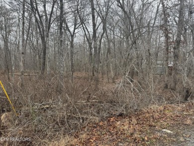 LOT WAS PERK TESTED AND CAME BACK FOR A ONE BEDROM, ADVISE TO on Lake Tansi Village Country Club in Tennessee - for sale on GolfHomes.com, golf home, golf lot