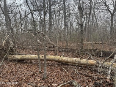 LOT WAS PERK TESTED AND CAME BACK FOR A ONE BEDROM, ADVISE TO on Lake Tansi Village Country Club in Tennessee - for sale on GolfHomes.com, golf home, golf lot