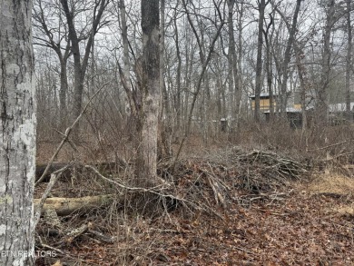 LOT WAS PERK TESTED AND CAME BACK FOR A ONE BEDROM, ADVISE TO on Lake Tansi Village Country Club in Tennessee - for sale on GolfHomes.com, golf home, golf lot
