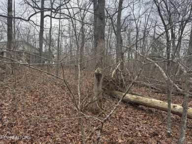 LOT WAS PERK TESTED AND CAME BACK FOR A ONE BEDROM, ADVISE TO on Lake Tansi Village Country Club in Tennessee - for sale on GolfHomes.com, golf home, golf lot