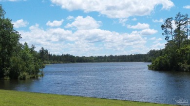 Brewton, AL - Waterfront Lot at the End of a Cul-de-Sac - Don't on Country Club of Brewton in Alabama - for sale on GolfHomes.com, golf home, golf lot
