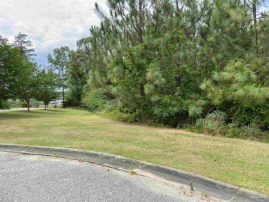 Brewton, AL - Waterfront Lot at the End of a Cul-de-Sac - Don't on Country Club of Brewton in Alabama - for sale on GolfHomes.com, golf home, golf lot