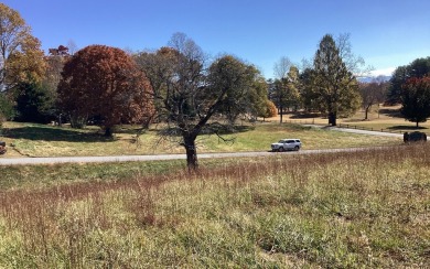 Very nice little knoll to build on with views of Chatuge Shores on Chatuge Shores Golf Course in North Carolina - for sale on GolfHomes.com, golf home, golf lot