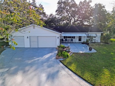 Welcome to Spruce Creek South, one of central Florida's finest on The Links of Spruce Creek in Florida - for sale on GolfHomes.com, golf home, golf lot