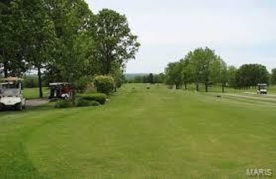 Immerse yourself in the vibrant lifestyle of Terre Du Lac, where on Terre Du Lac Golf and Country Club in Missouri - for sale on GolfHomes.com, golf home, golf lot
