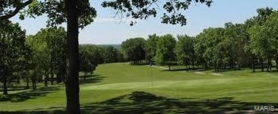 Immerse yourself in the vibrant lifestyle of Terre Du Lac, where on Terre Du Lac Golf and Country Club in Missouri - for sale on GolfHomes.com, golf home, golf lot