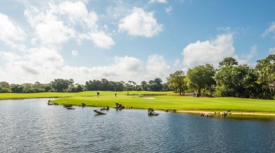 Architecturally beautiful custom home by Robert D' Angeleo on a on Pelican Sound Golf and River Club in Florida - for sale on GolfHomes.com, golf home, golf lot