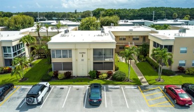 Completely remodeled 1st-floor corner unit in the 55+ Kings on Kings Point Golf -Flanders Way in Florida - for sale on GolfHomes.com, golf home, golf lot